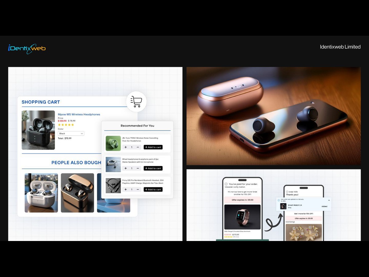 Identixweb Limited agency's portfolio
